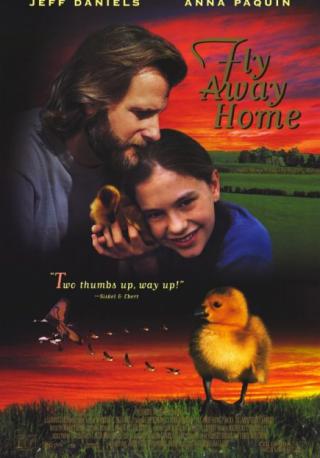 فيلم Fly Away Home 1996 مترجم