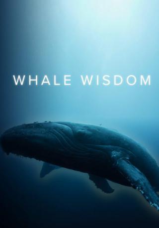 فيلم Whale Wisdom 2019 مترجم